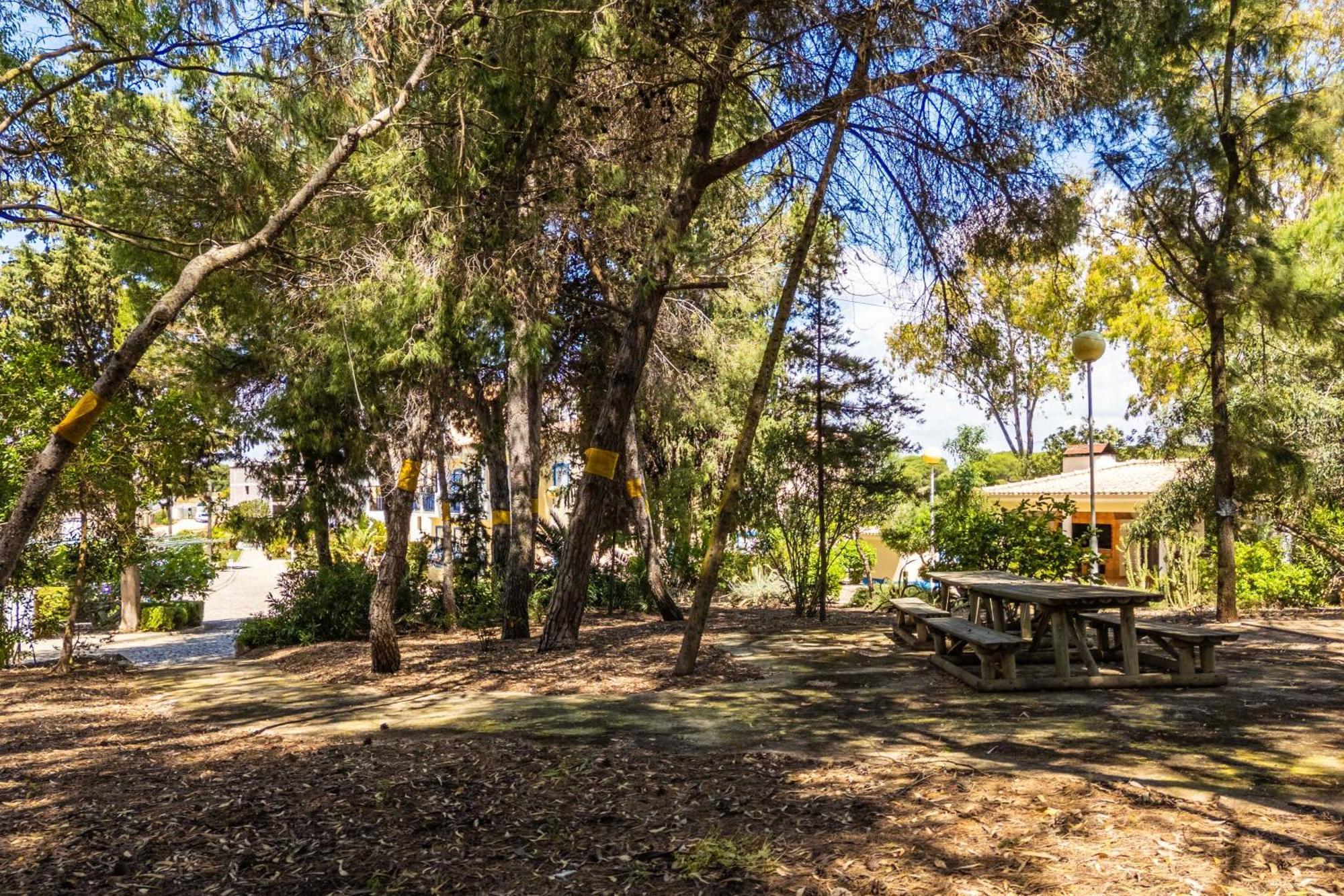 Bosque São José * Albufeira